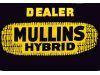 Mullins Hybrids