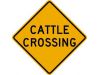 Cattle Crossing