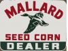 Mallard Seed Corn